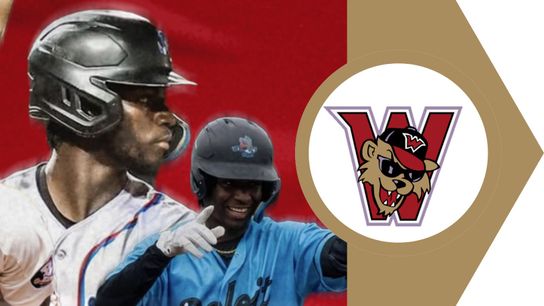 Former Marlins farmhand Roberts signs taken in Washington, Pa. (Wild Things)