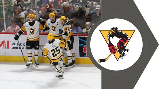McGroarty puts Bears on brink taken in Wilkes-Barre, Pa. (PENGUINS (AHL))