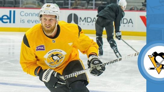 Mantha OK to play tonight taken in Ottawa