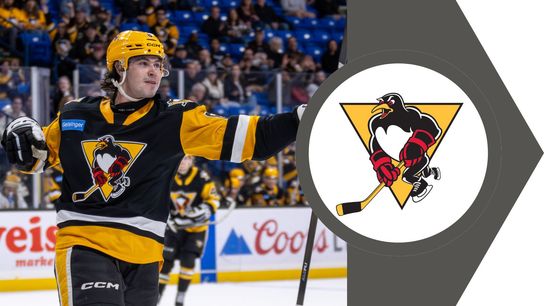 Broz injured, 'week-to-week' taken in Wilkes-Barre, Pa.