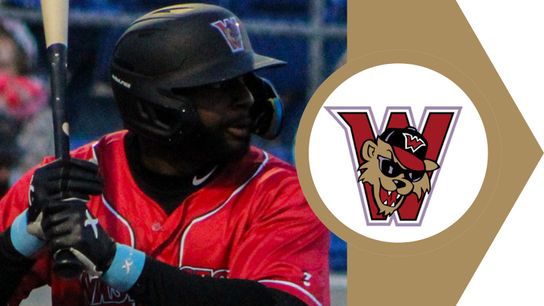 Homers power Boomers past Wild Things taken in Washington, Pa.