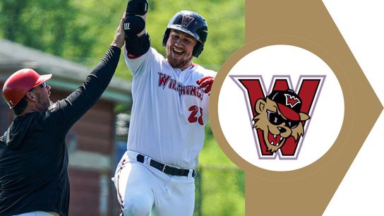 Reed, Czech homer in win over Lake Erie taken in Avon, Ohio